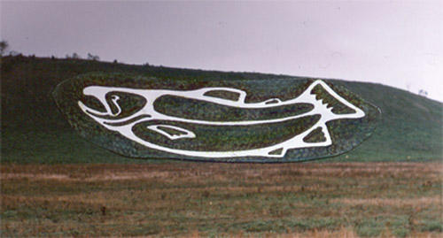 Fish Hill Fish Hill