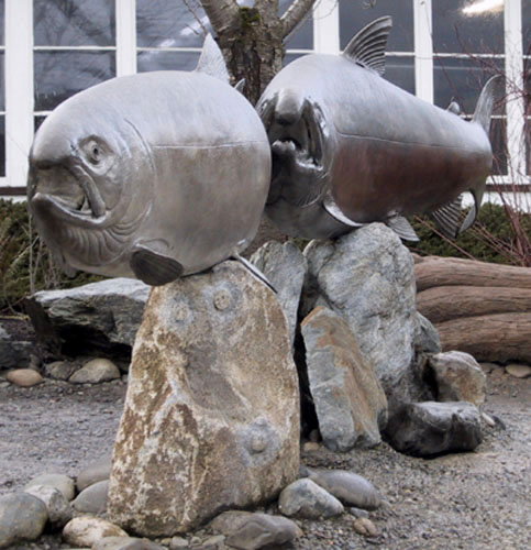 Issaquah Coho